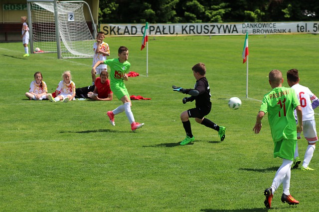 高台之下的 高台之下的