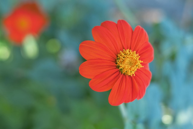 的夏季轉會 的夏季轉會