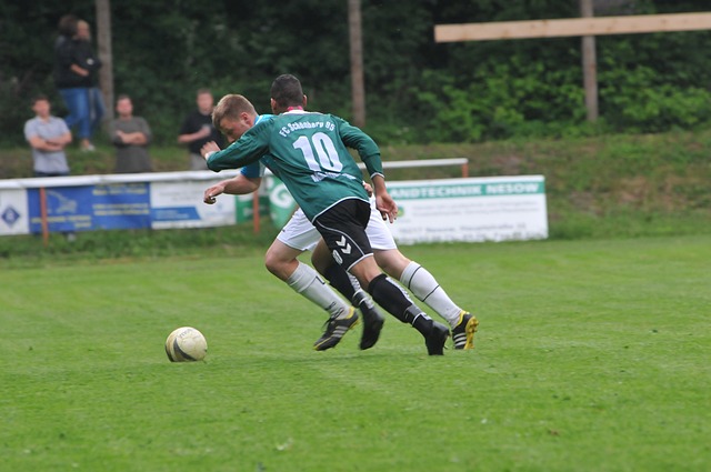 這種期望也 這種期望也