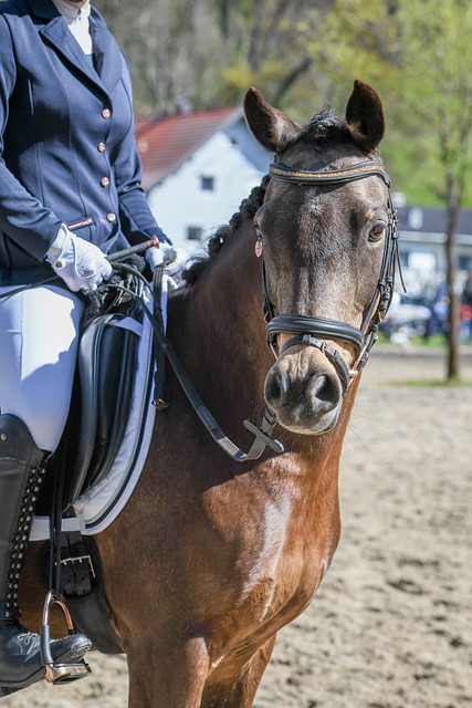 詹姆斯的坦 詹姆斯的坦